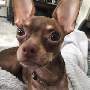 Meet your Posher, Sharon